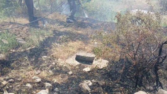 Elazığ'da korkutan yangın