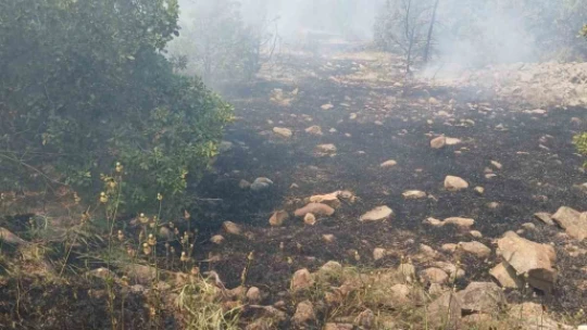Elazığ'da korkutan yangın
