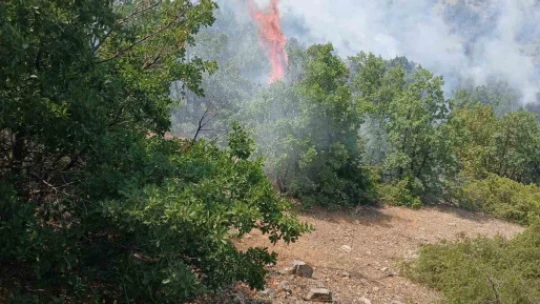 Elazığ'da korkutan yangın