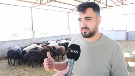 Elazığ'da kurbanlıklar görücüye çıktı