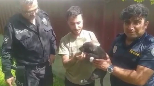Elazığ'da kuyuya düşen yavru köpeği itfaiye kurtardı