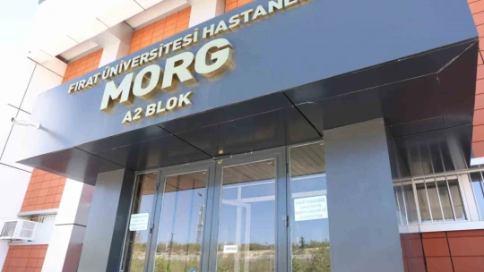 Elazığ'da kuzenlerin arazi anlaşmazlığı kanlı bitti: 1 ölü