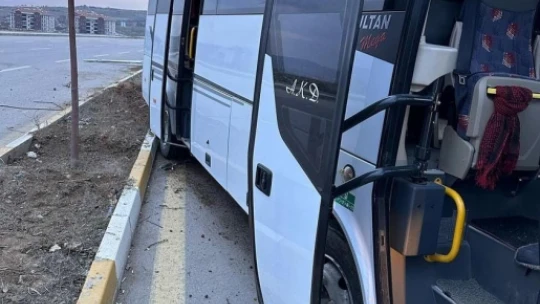 Elazığ'da midibüs çarptığı aydınlatma direğini devirdi