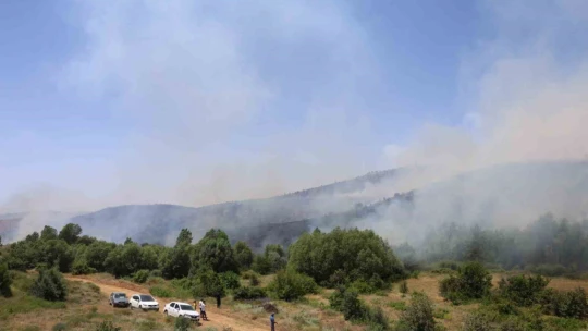 Elazığ'da orman yangını: Ekiplerin havadan ve karadan müdahalesi sürüyor