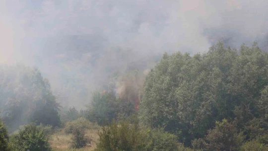 Elazığ'da orman yangını: Ekiplerin havadan ve karadan müdahalesi sürüyor