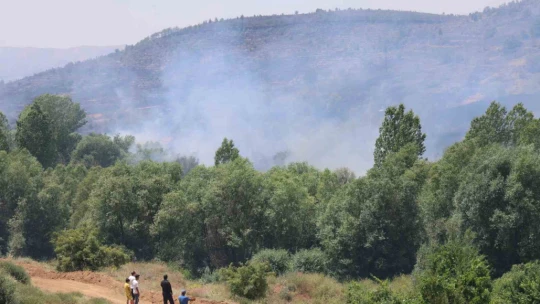 Elazığ'da orman yangını: Ekiplerin havadan ve karadan müdahalesi sürüyor
