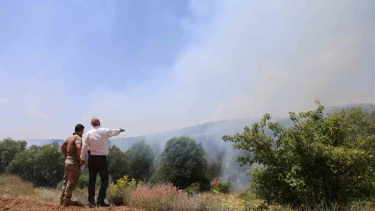 Elazığ'da orman yangını: Ekiplerin havadan ve karadan müdahalesi sürüyor