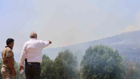 Elazığ'da orman yangını: Ekiplerin havadan ve karadan müdahalesi sürüyor