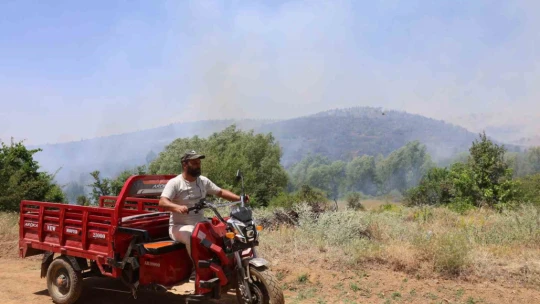 Elazığ'da orman yangını: Ekiplerin havadan ve karadan müdahalesi sürüyor