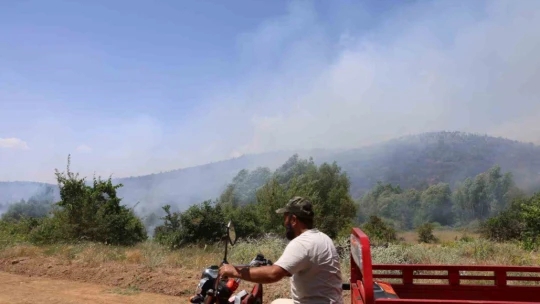 Elazığ'da orman yangını: Ekiplerin havadan ve karadan müdahalesi sürüyor