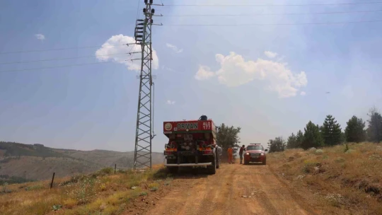 Elazığ'da orman yangını: Ekiplerin havadan ve karadan müdahalesi sürüyor