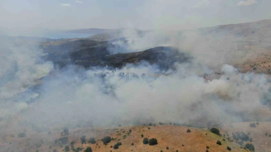 Elazığ'da orman yangını: Ekiplerin havadan ve karadan müdahalesi sürüyor