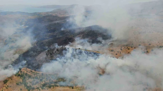Elazığ'da orman yangını: Ekiplerin havadan ve karadan müdahalesi sürüyor