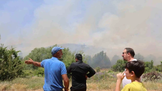 Elazığ'da orman yangını: Ekiplerin havadan ve karadan müdahalesi sürüyor