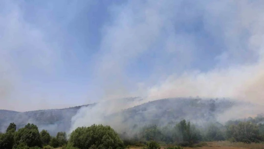 Elazığ'da orman yangını: Ekiplerin havadan ve karadan müdahalesi sürüyor