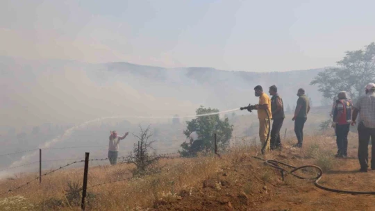 Elazığ'da orman yangını kontrol altına alındı, yüzlerce dönümlük alan kül oldu