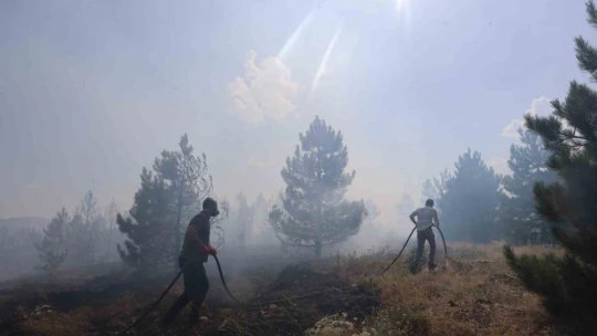 Elazığ'da orman yangını kontrol altına alındı, yüzlerce dönümlük alan kül oldu