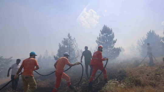 Elazığ'da orman yangını kontrol altına alındı, yüzlerce dönümlük alan kül oldu