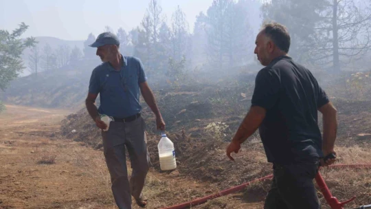 Elazığ'da orman yangını kontrol altına alındı, yüzlerce dönümlük alan kül oldu