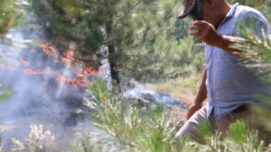 Elazığ'da orman yangını kontrol altına alındı, yüzlerce dönümlük alan kül oldu