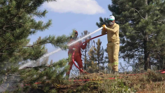 Elazığ'da orman yangını kontrol altına alındı, yüzlerce dönümlük alan kül oldu