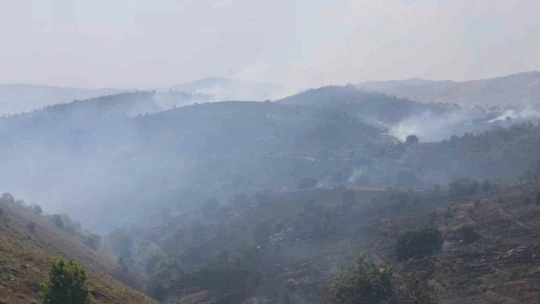 Elazığ'da orman yangını kontrol altına alındı, yüzlerce dönümlük alan kül oldu
