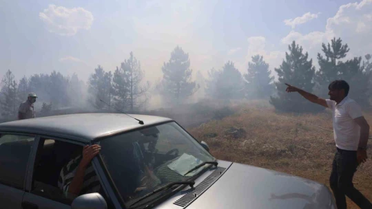 Elazığ'da orman yangını kontrol altına alındı, yüzlerce dönümlük alan kül oldu