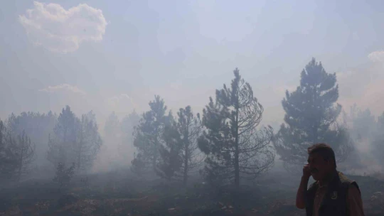 Elazığ'da orman yangını kontrol altına alındı, yüzlerce dönümlük alan kül oldu