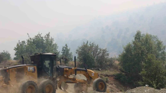 Elazığ'da orman yangınına havadan müdahale sürüyor