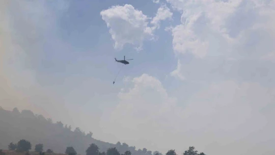 Elazığ'da orman yangınına havadan müdahale sürüyor