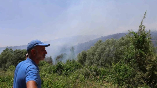 Elazığ'da orman yangınına havadan müdahale sürüyor
