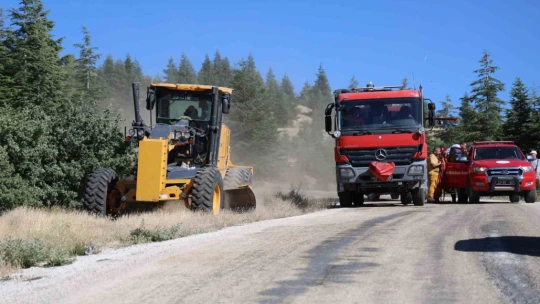 Elazığ'da ormanlık alanda yangın