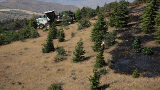 Elazığ'da ormanlık alanda yangın