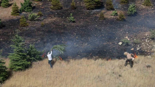 Elazığ'da ormanlık alanda yangın