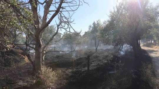 Elazığ'da örtü ve bahçe yangını
