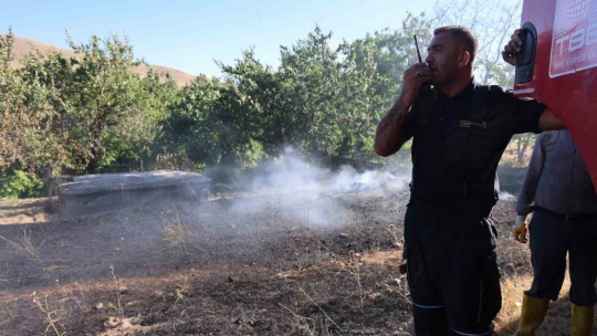 Elazığ'da örtü ve bahçe yangını