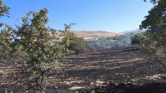 Elazığ'da örtü ve bahçe yangını