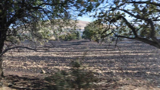 Elazığ'da örtü ve bahçe yangını