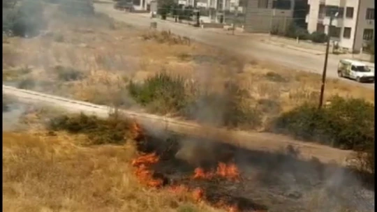 Elazığ'da ot yangını