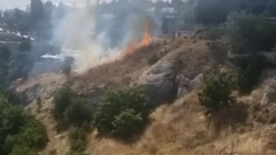 Elazığ'da otluk alanda çıkan yangın korkuttu