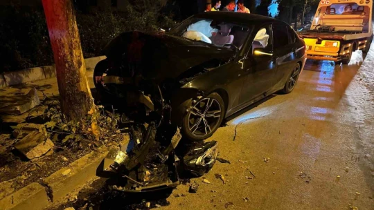 Elazığ'da otomobil ağaca çarptı: 1 yaralı