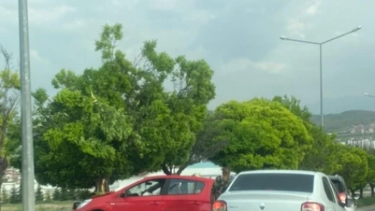 Elazığ'da otomobil ağaca çarptı: 3 yaralı