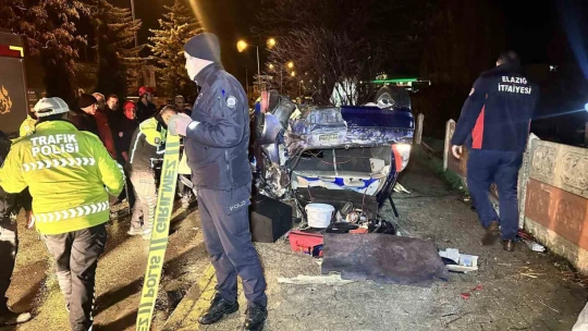 Elazığ'da otomobil ağaçları devirip takla attı: 2 ağır yaralı