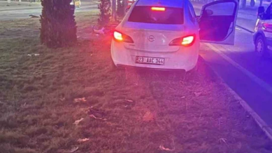 Elazığ'da otomobil aydınlatma direğine çarptı : 1 yaralı