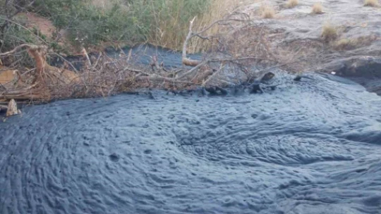 Elazığ'da petrol heyecanı