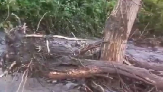 Elazığ'da sağanak yağış köy yollarını tahrip etti