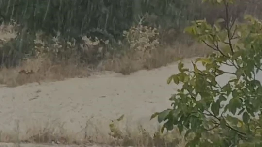 Elazığ'da sağanak yağış sele neden oldu