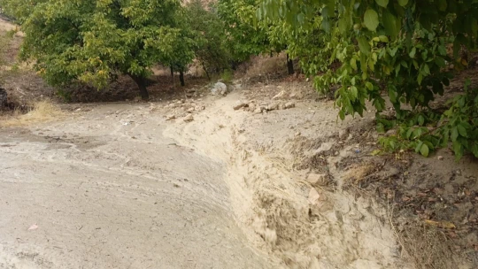 Elazığ'da sağanak yağış sele neden oldu