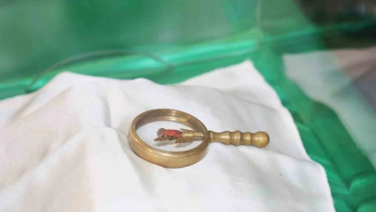 Elazığ'da Sakal-ı Şerif'i görmek için sıraya girdiler