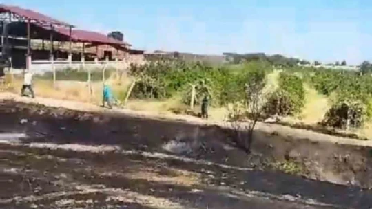 Elazığ'da samanlık ve arazi yangını: 60 dönüm arazi kül oldu